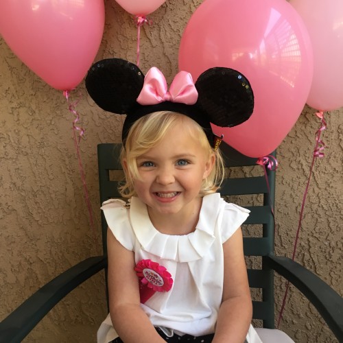 minnie mouse birthday party girl 3rd 3